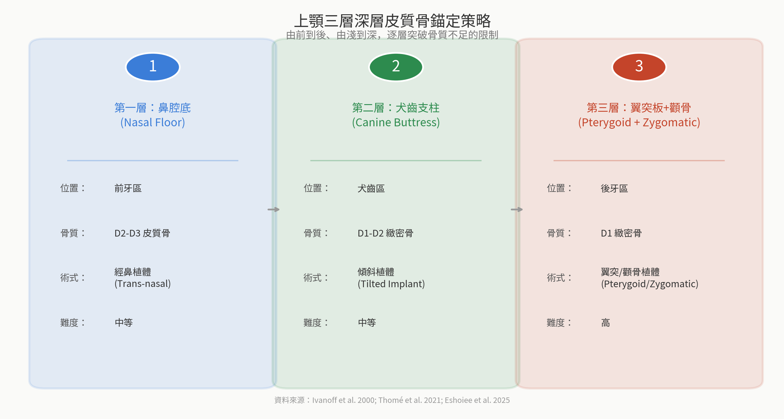 上顎三層深層皮質骨錨定策略示意圖